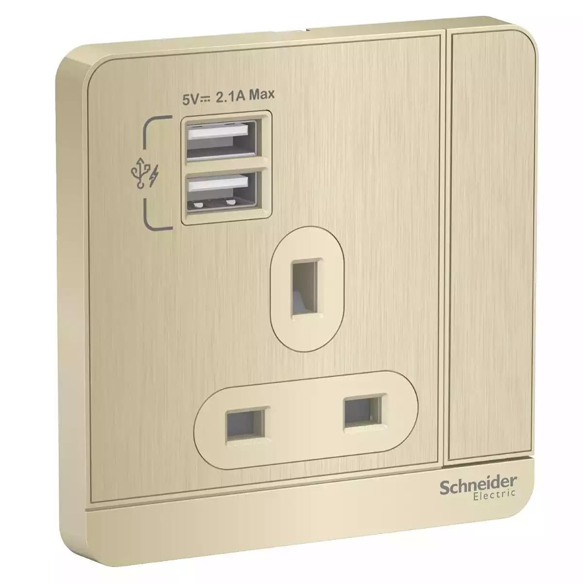 AvatarOn, 2 USB charger + switched socket, 3P, 13A, Metal Gold Hairline