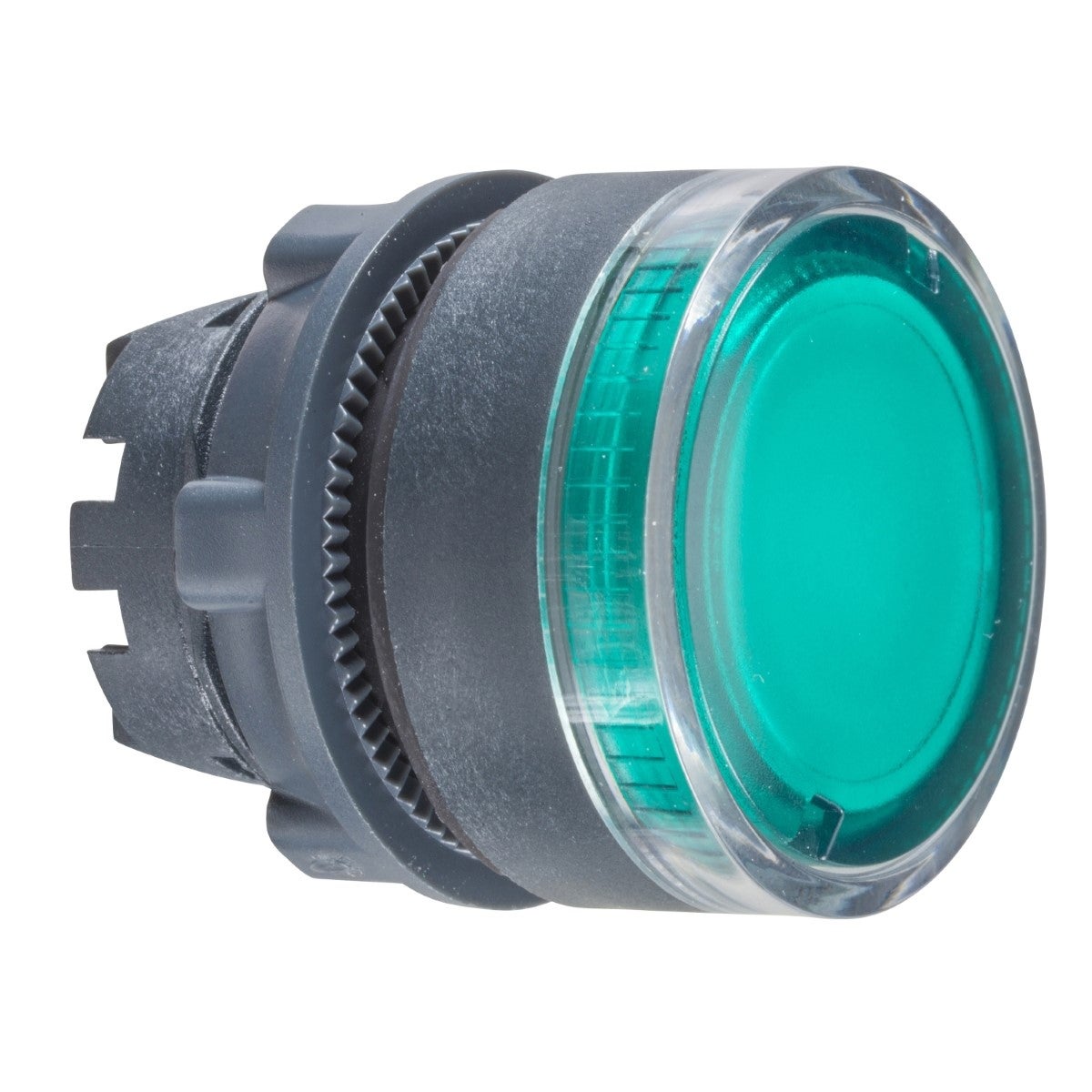 green flush illuminated pushbutton head Ã˜22 spring return for integral LED